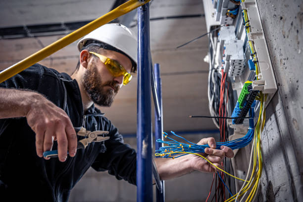Best Local Electrician Companies  in Eddyville, IA