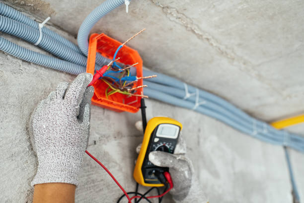 Best Licensed Electrician  in Eddyville, IA